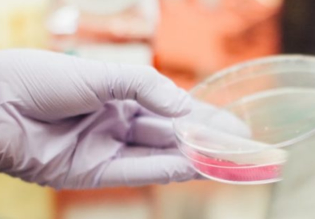 lab-oxidation lab oxidation